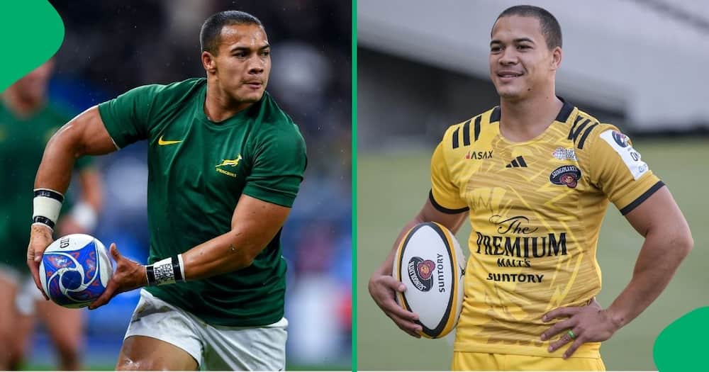 Cheslin Kolbe is aiming for a return to the Springbok side.
