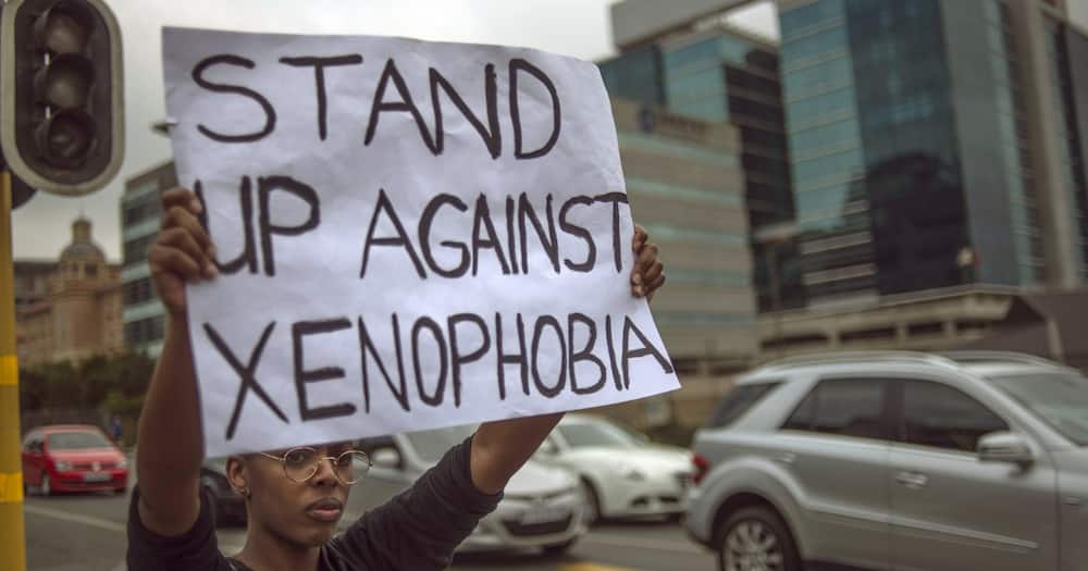 South African xenophobia, Elvis Nyati, Zimbabwe, expert input, Operation Dudula