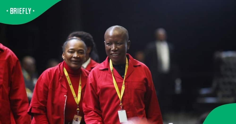 The Economic freedom fighters' president Julius Malema slammed the new cabinet