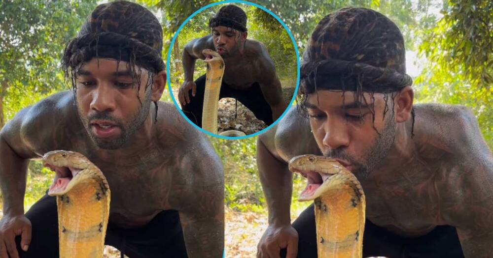 The Real Tarzann kissed a dangerous cobra