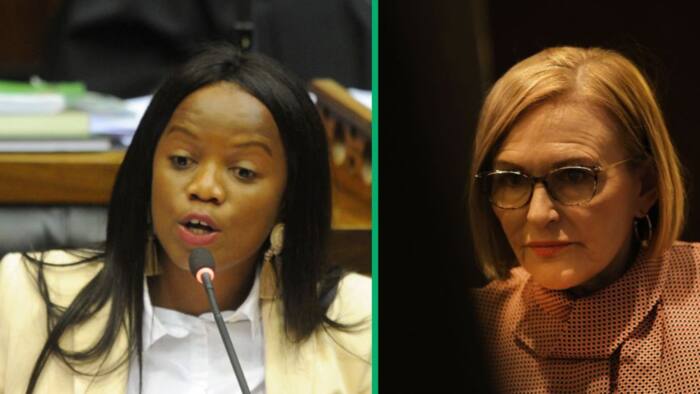 Van Damme vs Zille: 'Kill the Boer' outrage reignites feud between ex-DA MP and DA federal leader