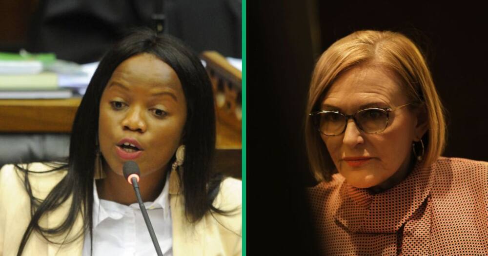 Helen Zille and Phumzile van Damme are feuding again over the 'Kill the Boer' chant