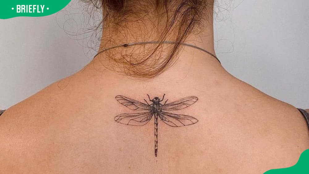 Back dragonfly tattoo