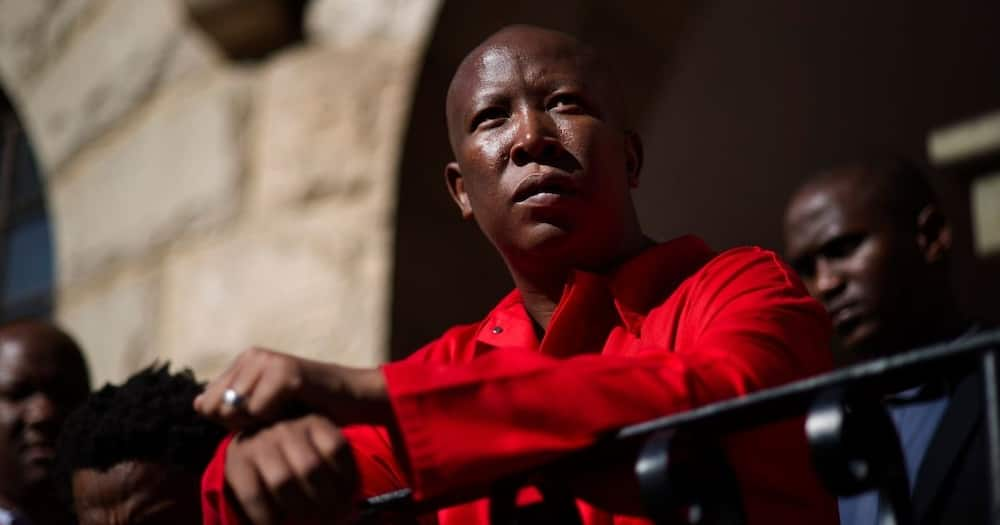 EFF, Die Stem, Julius Malema, trending, reactions