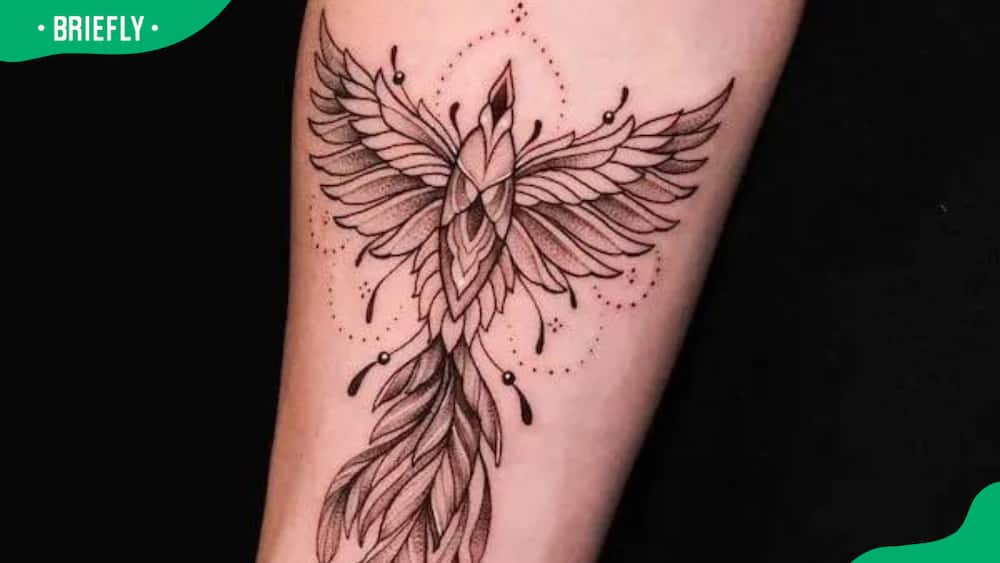 Detailed phoenix tattoo