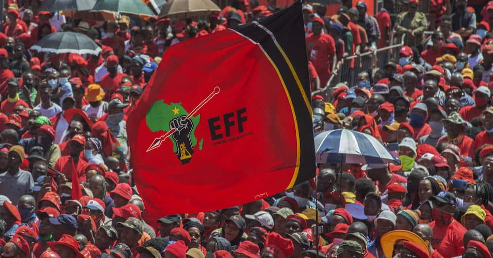 4 EFF members killed, road accidents, condemns Mpumalanga province, bad roads