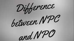 Here is the difference between NPC and NPO