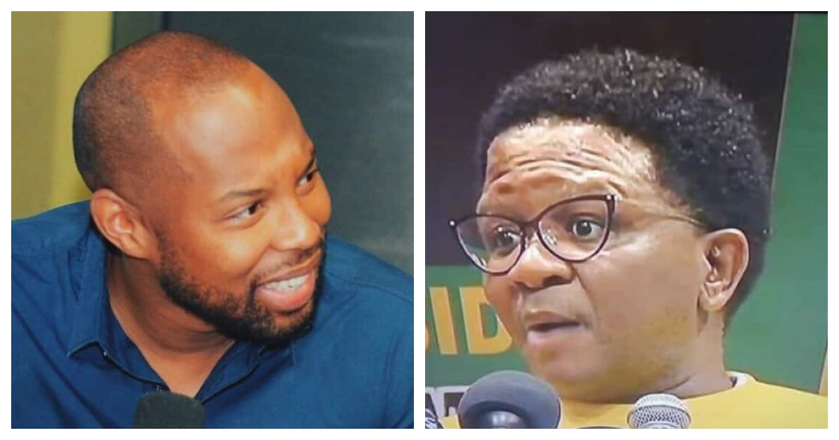 Shots fired! Fikile Mbalula vs Sizwe Dhlomo and "that hair"