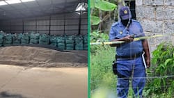 Police hunt for owner of Johannesburg warehouse with stolen minerals worth R15m