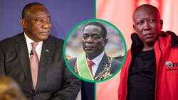 President Cyril Ramaphosa acknowledges Zimbabwean elections, EFF leader Julius Malema says they were not fair