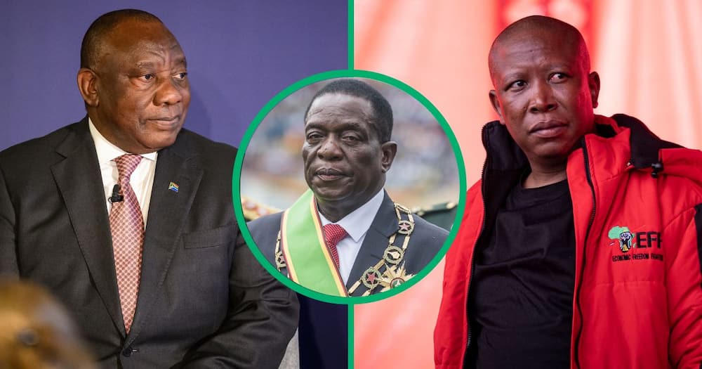 Collage image of President Cyril Ramaphosa, Zimbabwean President Emmerson Mnangagwa and EFF leader Julius Malema