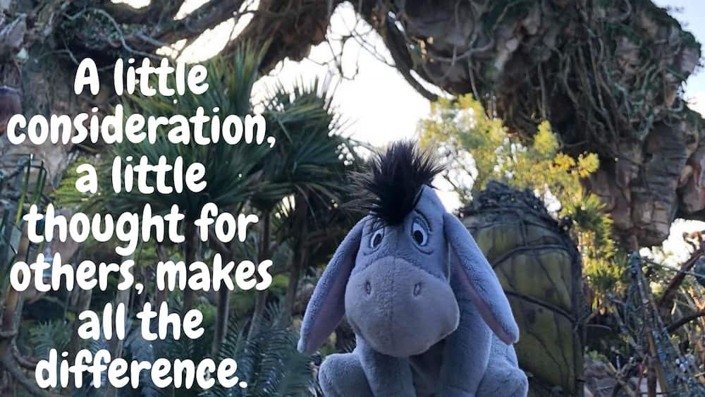 positive inspirational eeyore quotes