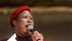 AfriForum hate speech case: Julius Malema testifies in Equality Court, denies "Kill the Boer" allegations