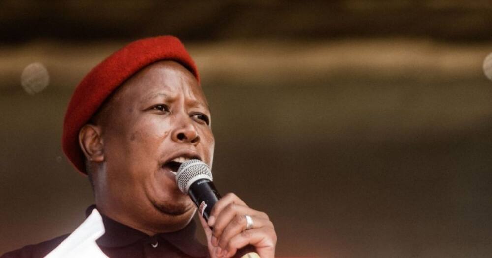 Julius Malema, EFF, Economic Freedom Fighters, Afriforum, Equality Court, Kill the Boer, racism, court, South Africa