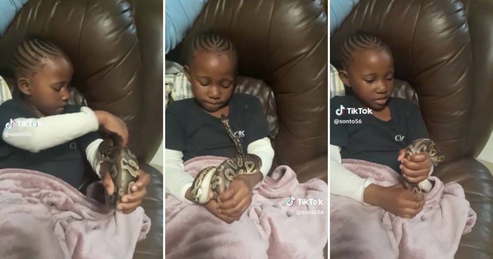 A brave girl played with a pet snake while chilling on the couch