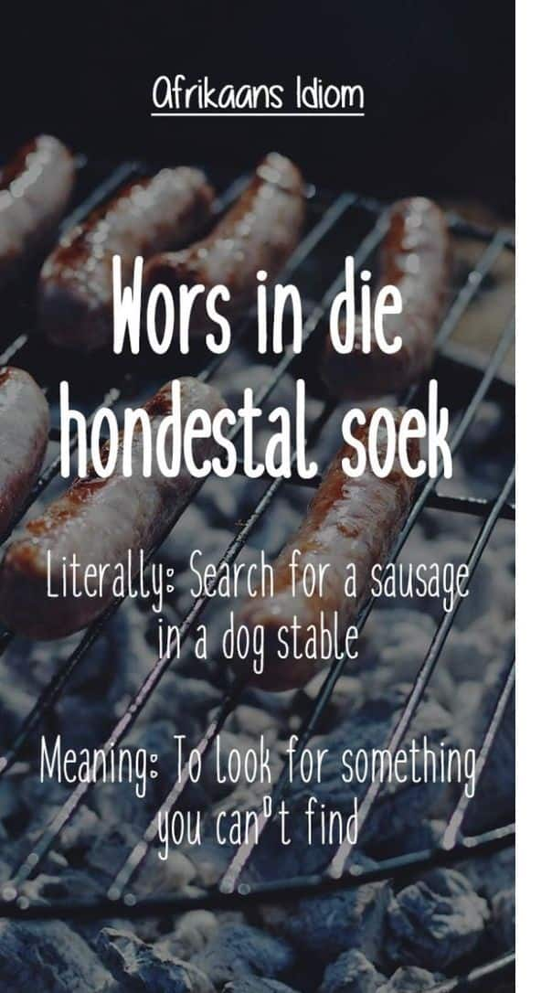 25 best Afrikaans idioms and proverbs ever with images Briefly.co.za