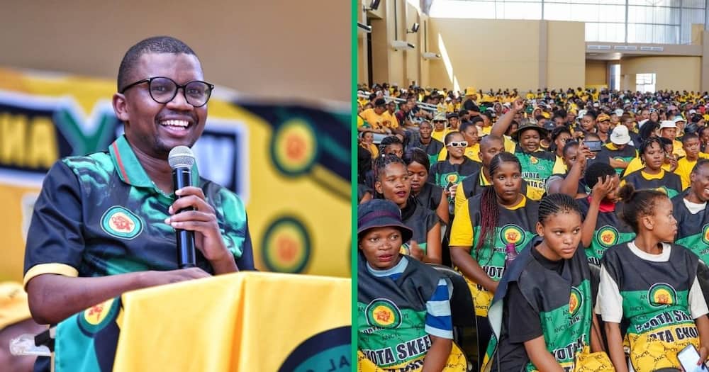 The ANCYL is calling on veterans to retire.