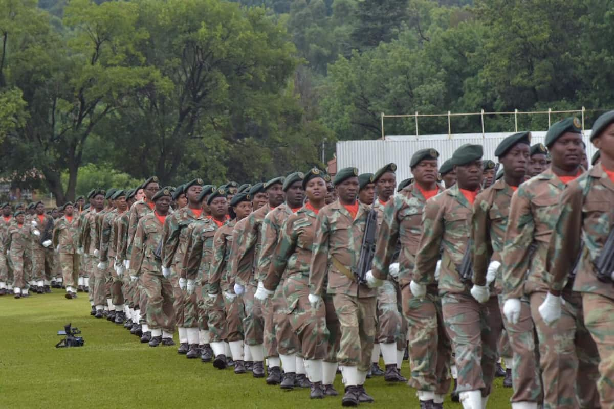 sandf-application-forms-closing-dates-and-requirements-in-2020-briefly-sa