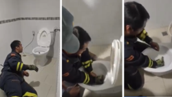 "Nightmare come true": Man catches a snake in toilet, gives people the creeps