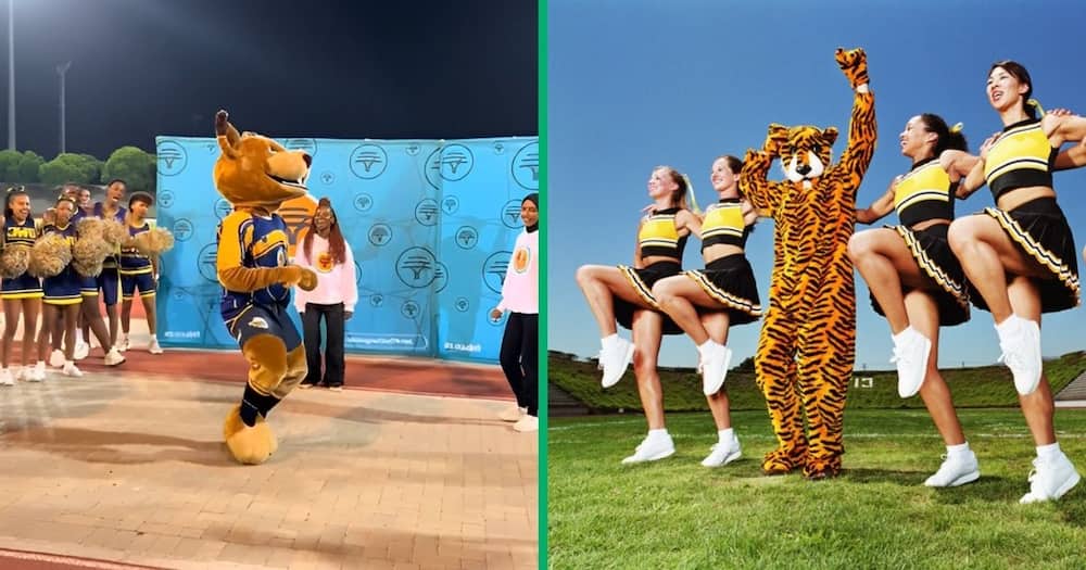 A UWC mascot showed off lit moves in a TikTok video.