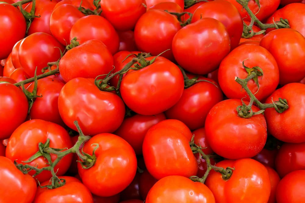 Tomatoes are among the most profitable vegetables to grow in South Africa