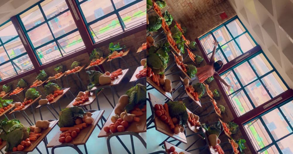 Teacher Shares Pics of Food Parcels Her School Makes, SA Loves It