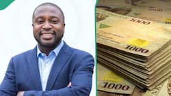 UK-based man shares lucrative work abroad, netizens floored by high paying position: "Job pays R11k daily"