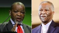 Gwede Mantashe is not impressed with Thabo Mbeki's comments about SA leadership deficit