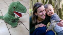 Kind woman buys dinosaur toy for friendly waitress’ son, warms the hearts of Mzansi peeps
