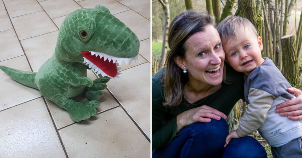A warm-hearted lady bought a plush dinosaur for a friendly waitress' son