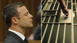 Oscar Pistorius denied parole for Valentine’s Day murder of Reeva Steenkamp