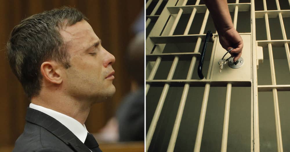 Oscar Pistorius denied parole