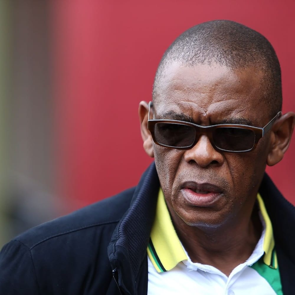 Ace Magashule age, children, education, party and house