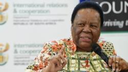 DIRCO Minister Naledi Pandor says South Africa wants a single currency for Africa to improve trade relations
