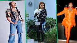 Luxurious life of Mzansi celebrity dogs: 4 Pomeranian moms and their spoilt puppies