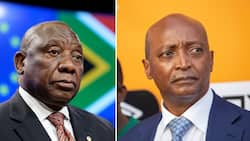 Cyril Ramaphosa & Patrice Motsepe being probed over "suspicious" sale of 4 Ankole cows for R4 million