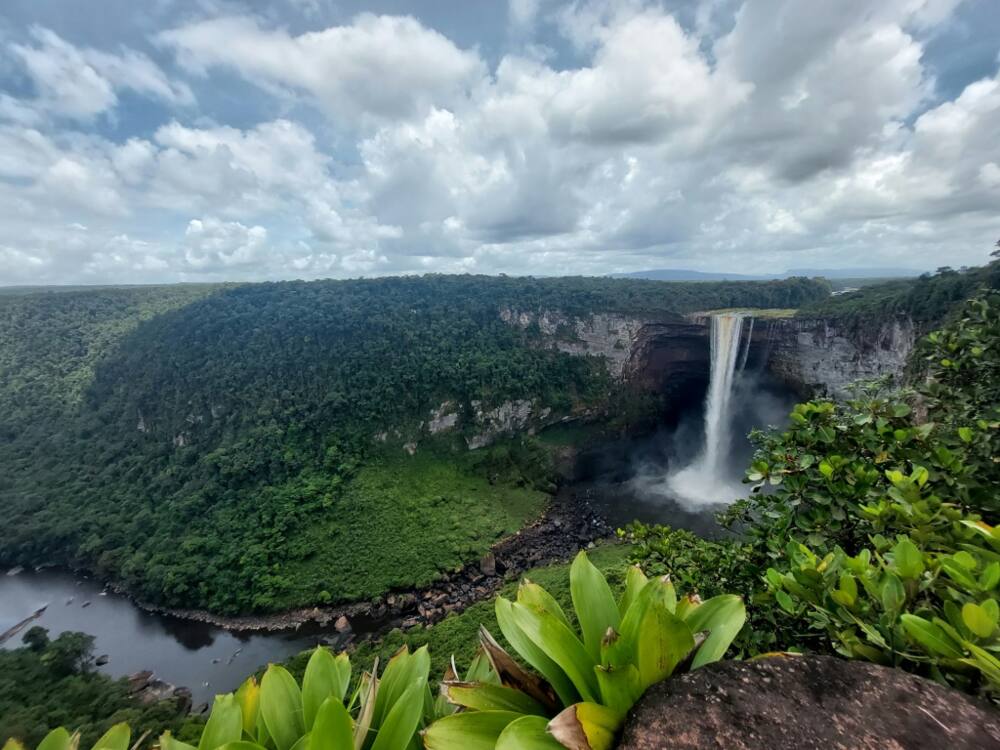 Kaieteur, the world's largest single drop waterfall is located in Essequibo, an oil-rich disputed area of 160,000 square kilometers that is administered by Guyana but which Venezuelans voted to claim as theirs in a referendum