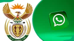 Department of Labour's WhatsApp number: How to check your UIF balance