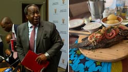 Tito Mboweni shows off his grilled fish dinner in Rwanda, SA dishes out jokes: "Hope they had enough garlic"