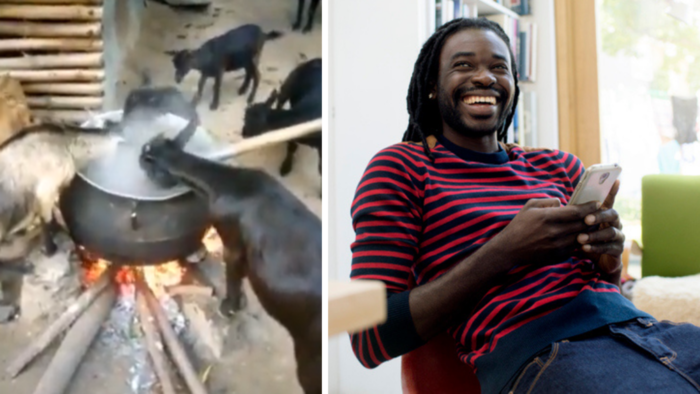 "They were sent": Goats eating directly from hot pot dubbed "witches' goats"