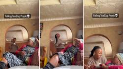 Playful lady pulls trending falling teacup prank on mom, huge laughs follow