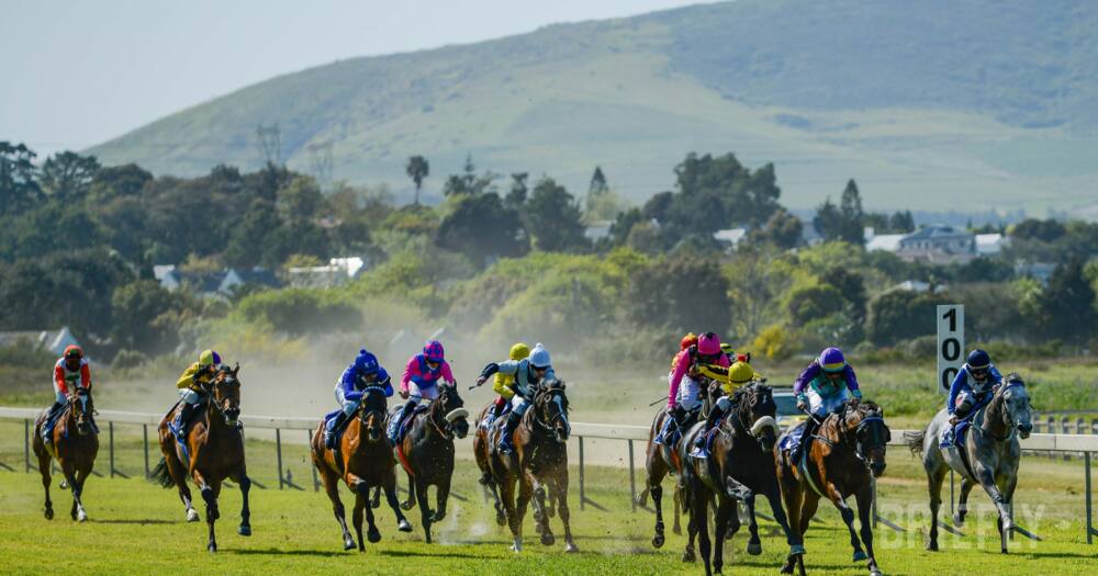 Hollywoodbets sponsors Cape Racing