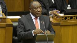 "R4 million to speak?": South Africans say SONA should be held virtually to save on costs