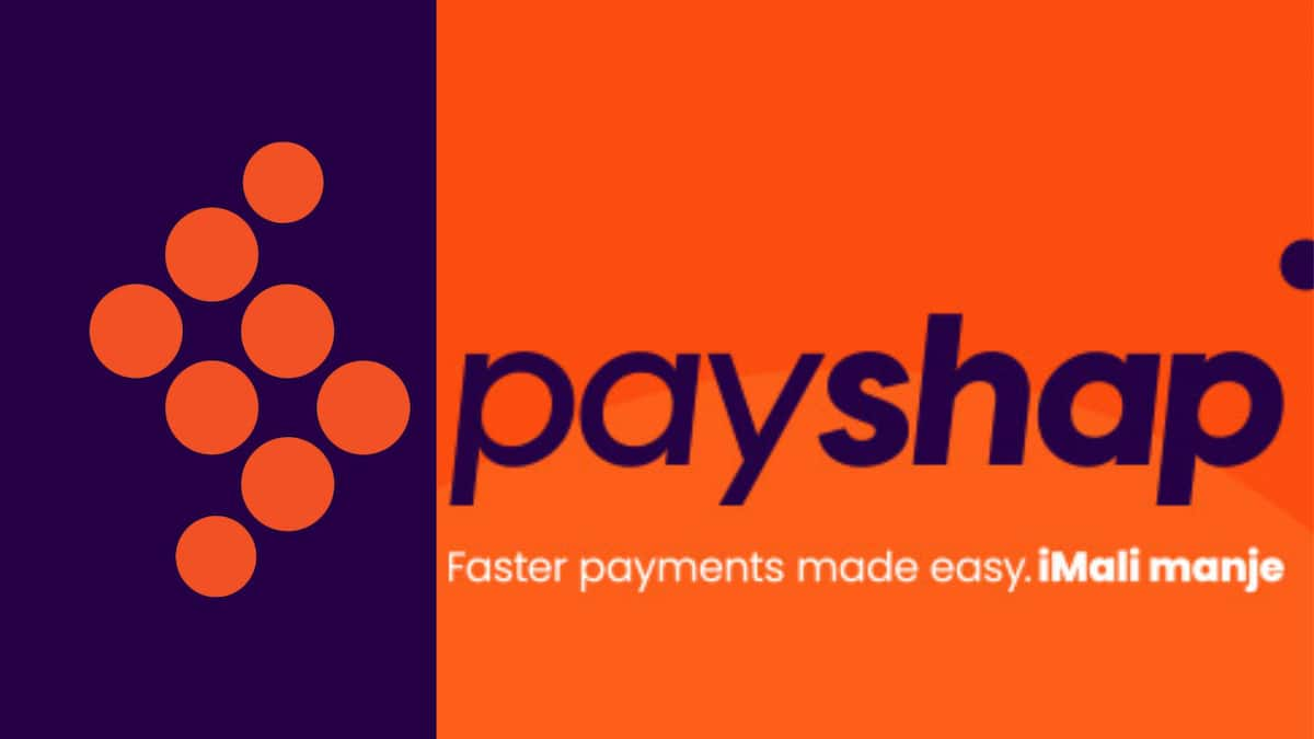 how-does-payflex-work-the-dizaldo-blog