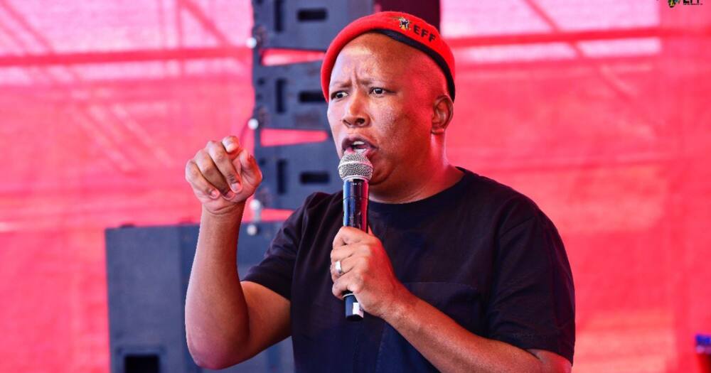 EFF, Julius Malema, Worker's day rally, foreign nationals hate, self-hate