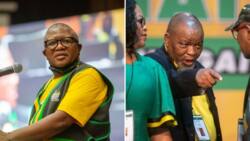 Mbalula wants ANC to close ranks around Mantashe as criticism over SA's energy crisis mounts