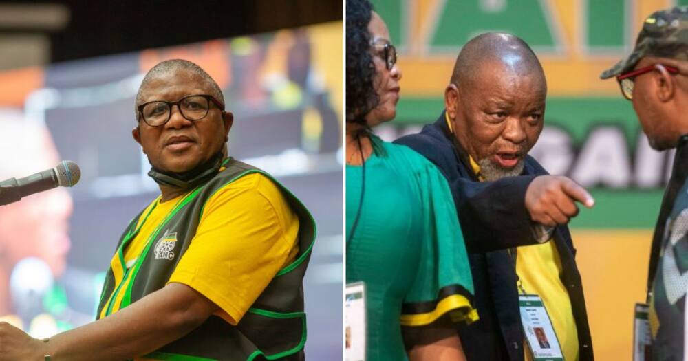 Fikile Mbalula calls on ANC members to protect Gwede Mantashe