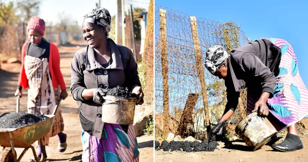 Business, Women Empowerment, Gogo, Coal Making Business, Mzansi