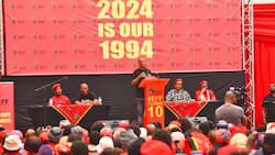 Julius Malema confident in EFF's 2024 victory and predicts ANC's decline