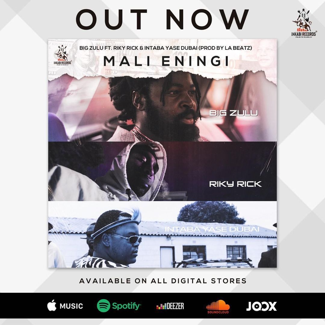 Big Zulu Imali Eningi Official Video Lyrics Reactions Download